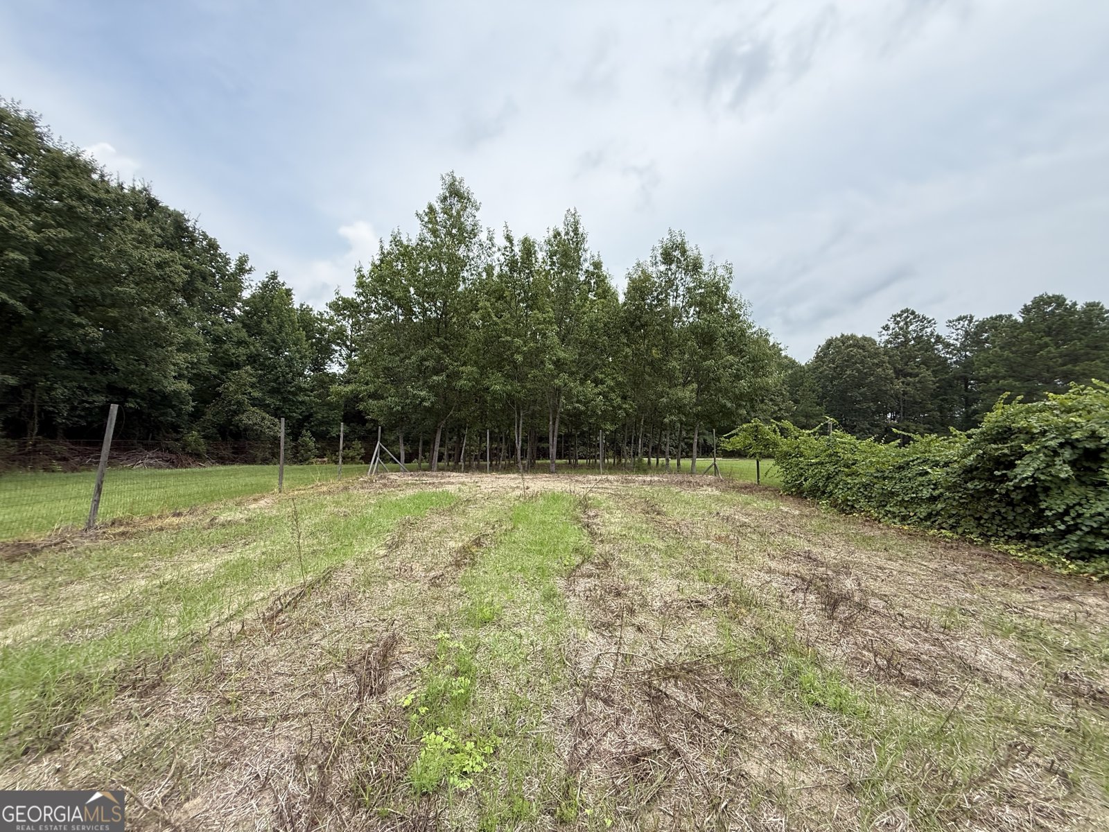 2449 H B Dixon Road Sparta - Photo 66