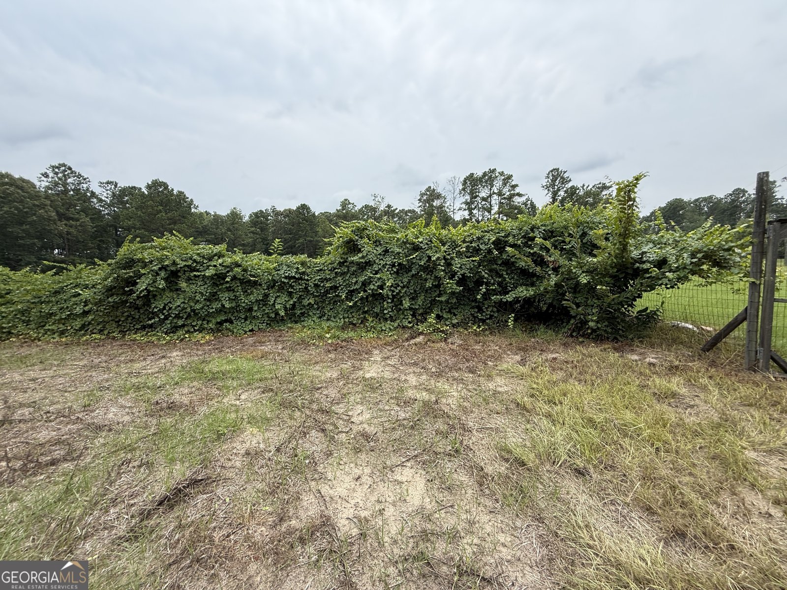 2449 H B Dixon Road Sparta - Photo 67