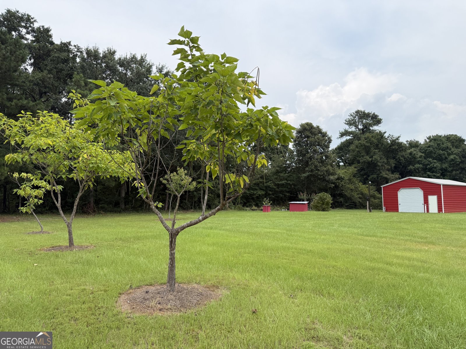2449 H B Dixon Road Sparta - Photo 8