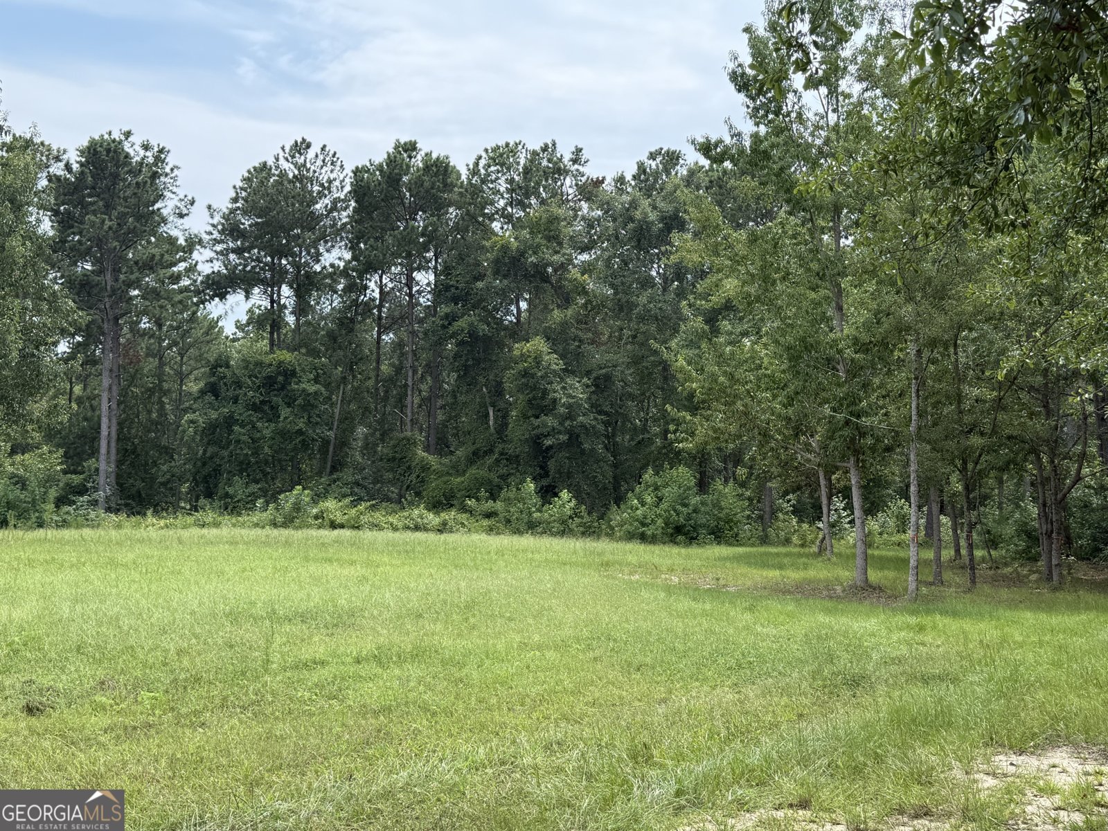 2449 H B Dixon Road Sparta - Photo 80