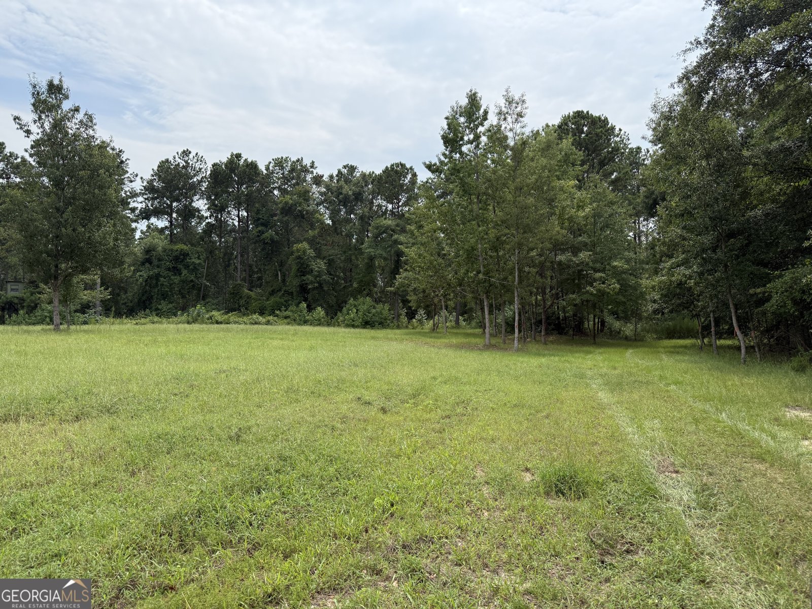 2449 H B Dixon Road Sparta - Photo 87