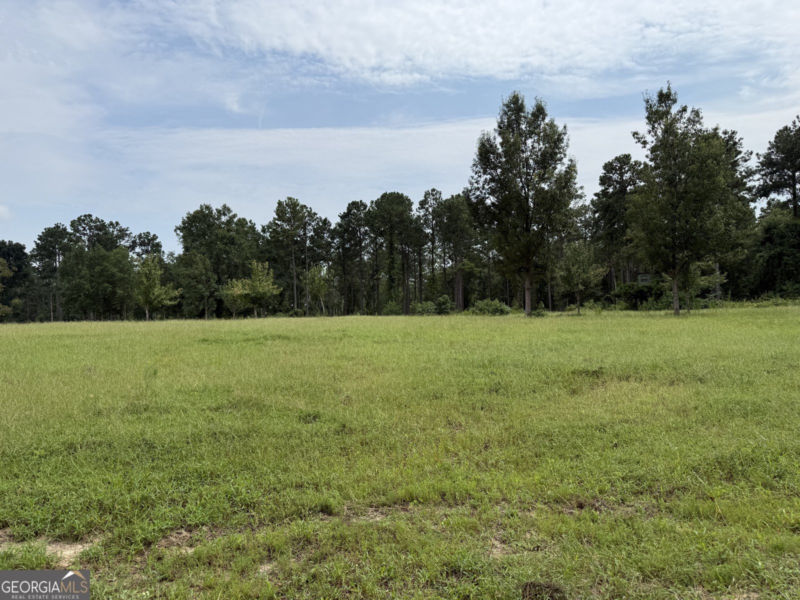 2449 H B Dixon Road Sparta - Photo 88