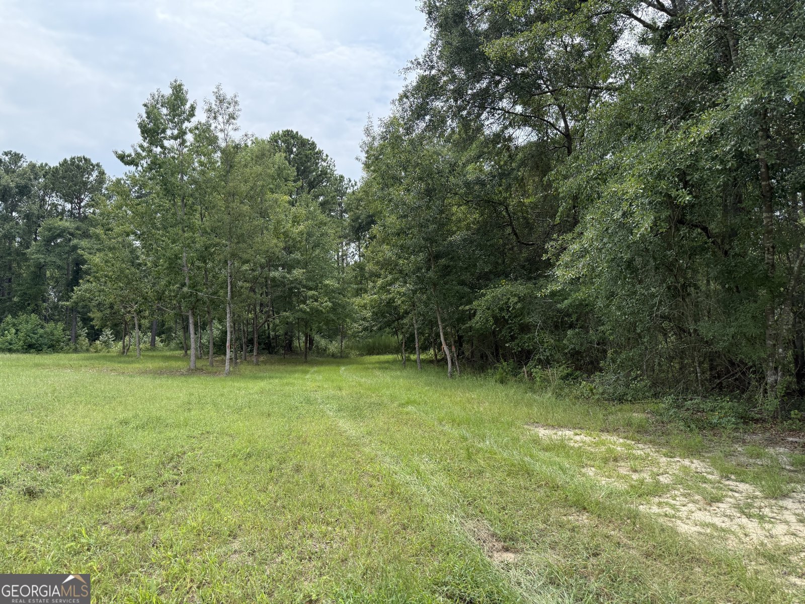 2449 H B Dixon Road Sparta - Photo 91