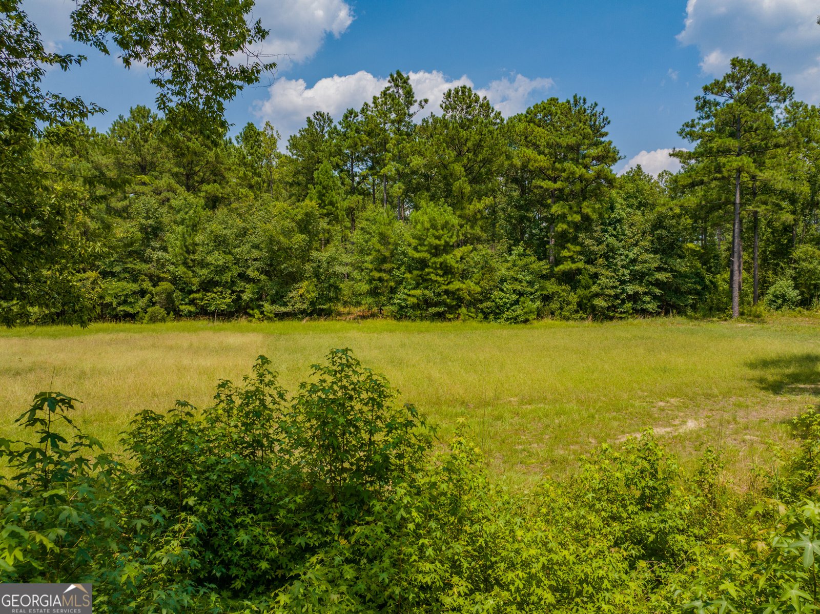 2449 H B Dixon Road Sparta - Photo 92