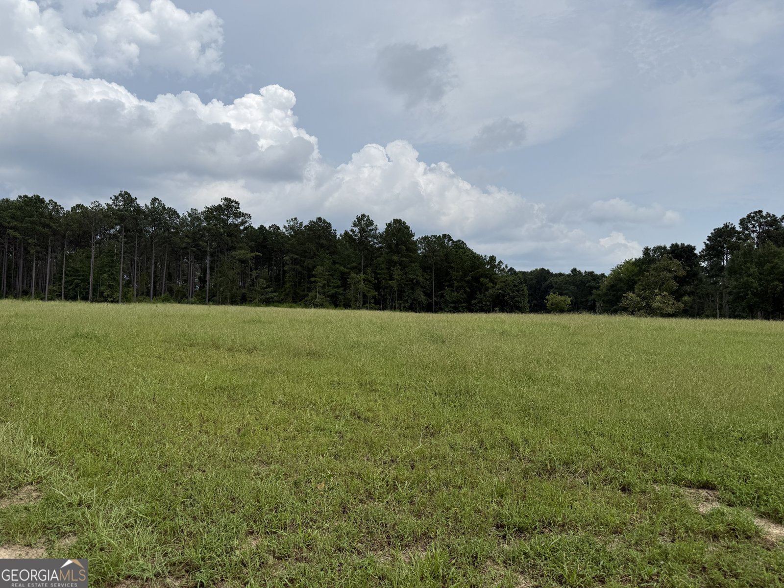 2449 H B Dixon Road Sparta - Photo 93