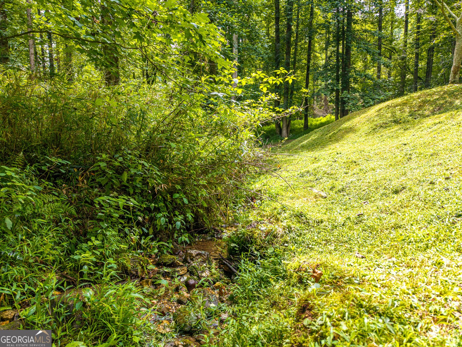 120 Shenendoa Drive Ellijay - Photo 39