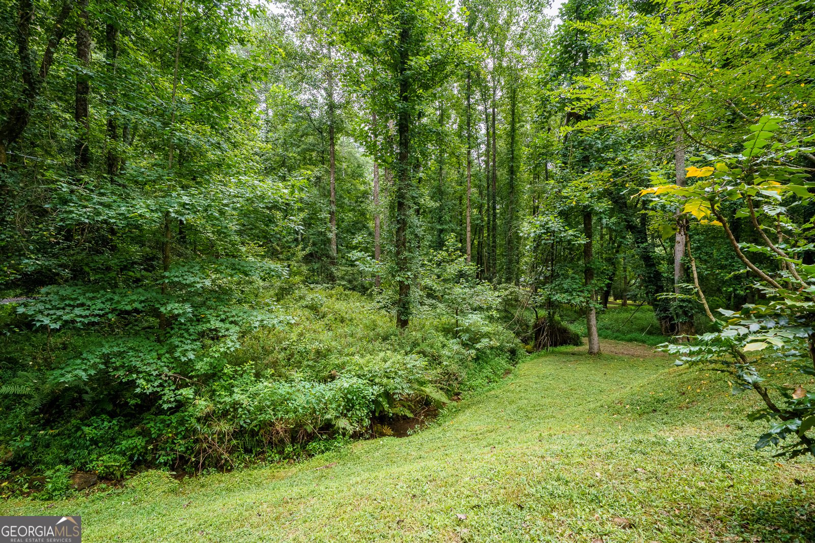 120 Shenendoa Drive Ellijay - Photo 49