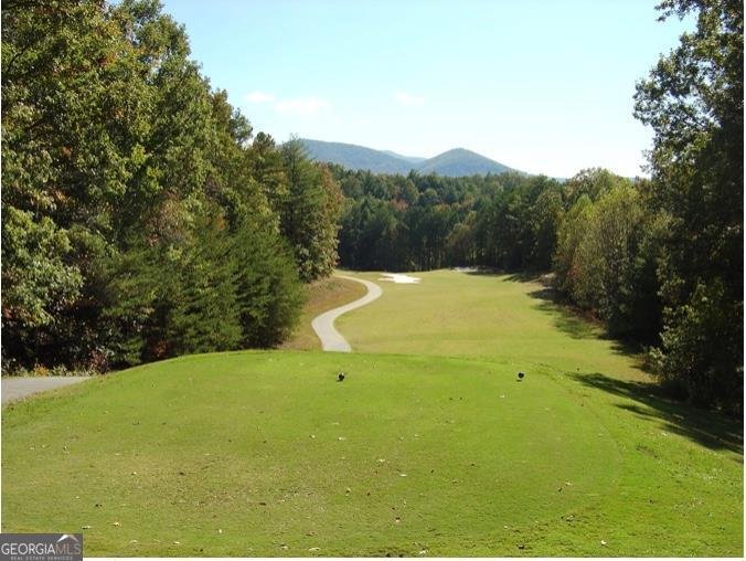 120 Shenendoa Drive Ellijay - Photo 56