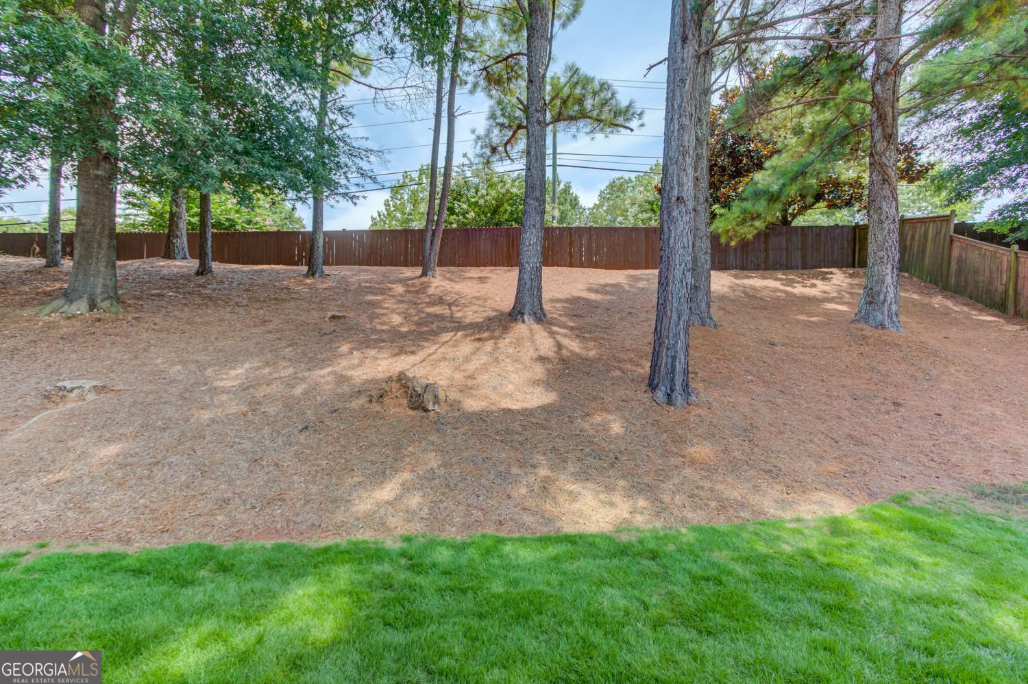 5719 Berkshire Trace Braselton - Photo 39