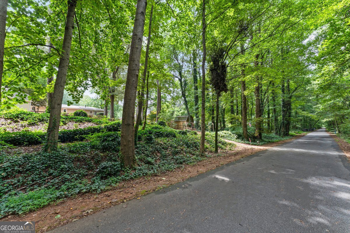 1554 Pedro Drive Mableton - Photo 40