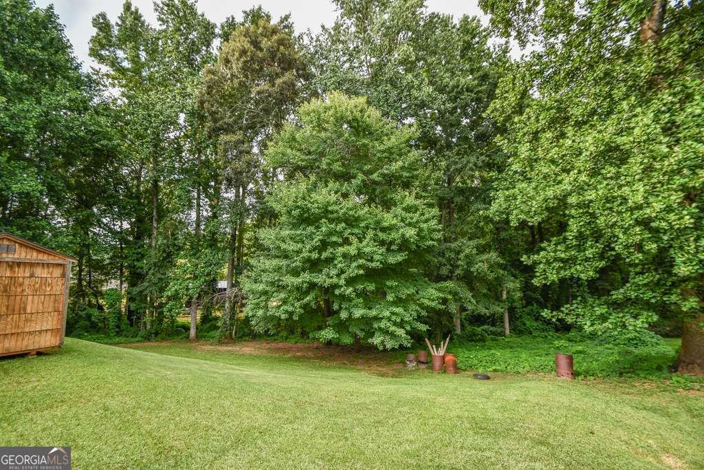 3864 Amber Glen Lane Gainesville - Photo 62