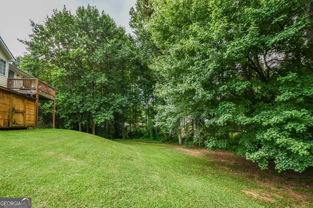 3864 Amber Glen Lane Gainesville - Photo 65