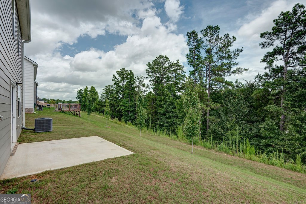 206 Aster Avenue Locust Grove - Photo 32