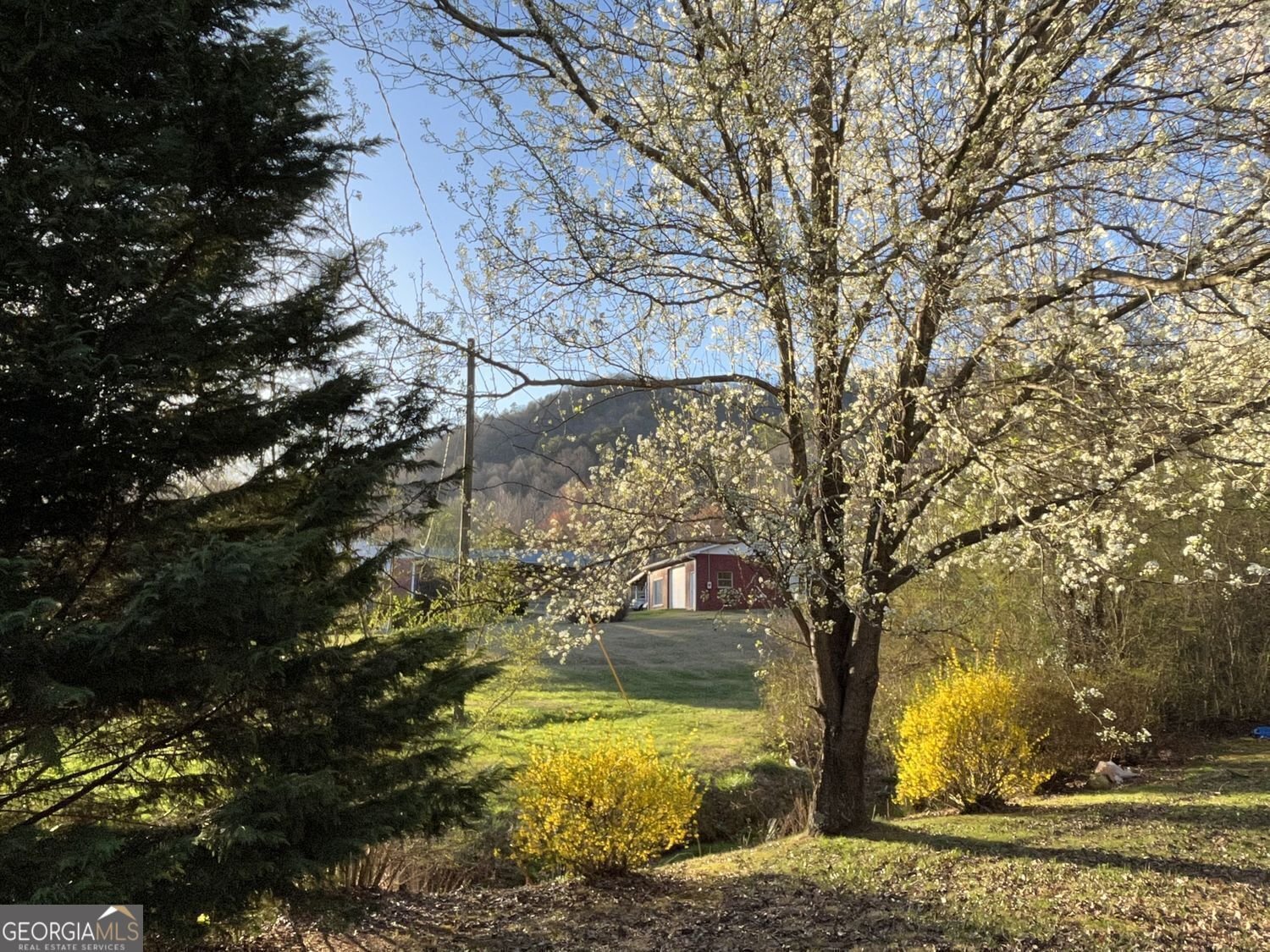 256 Black Rock Mountain Parkway Clayton - Photo 38