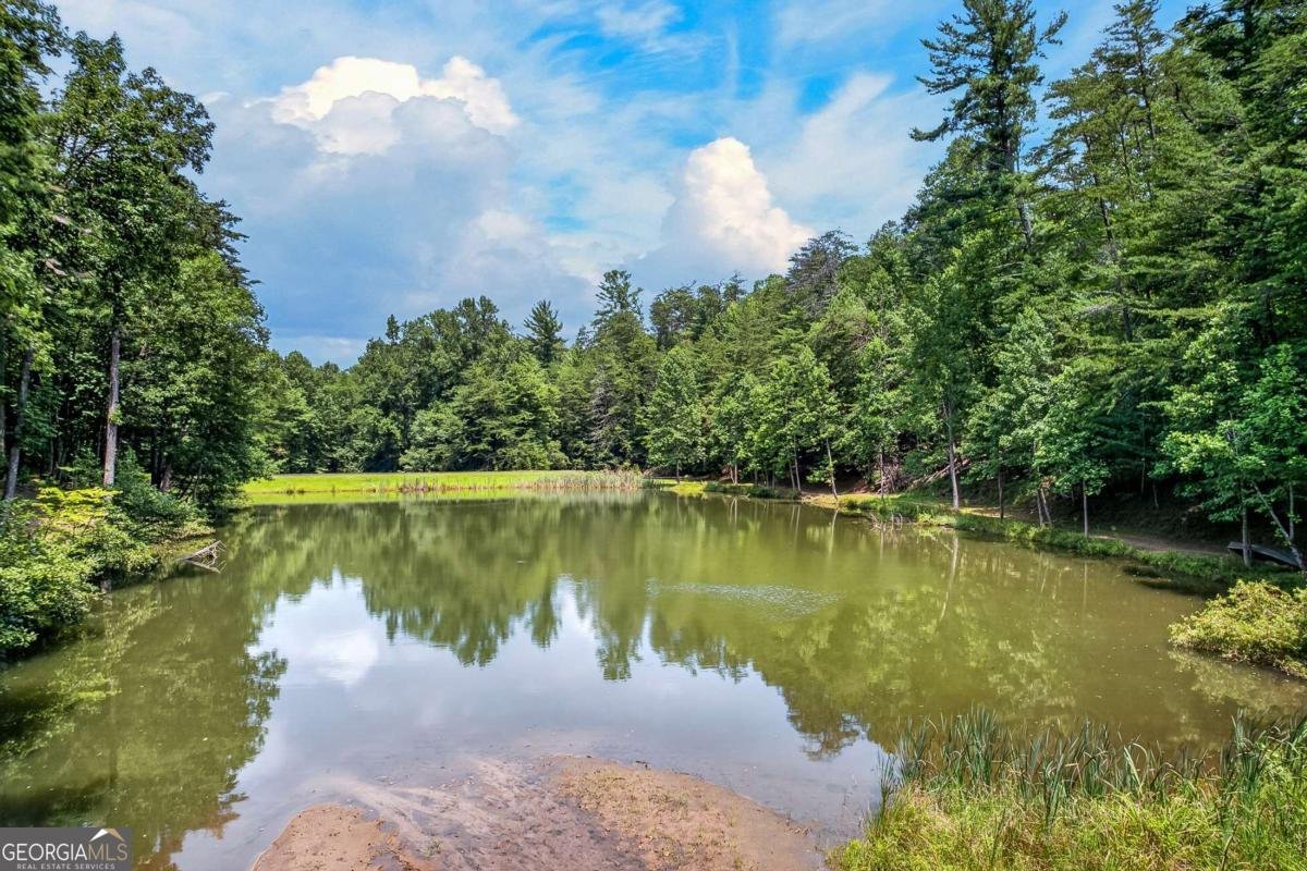 986 Mountain Oak Road Ellijay - Photo 37