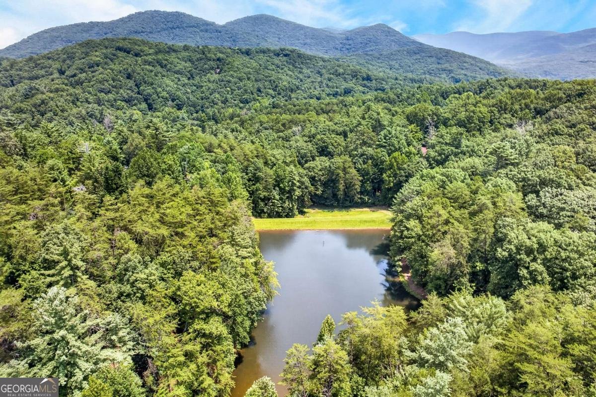 986 Mountain Oak Road Ellijay - Photo 38
