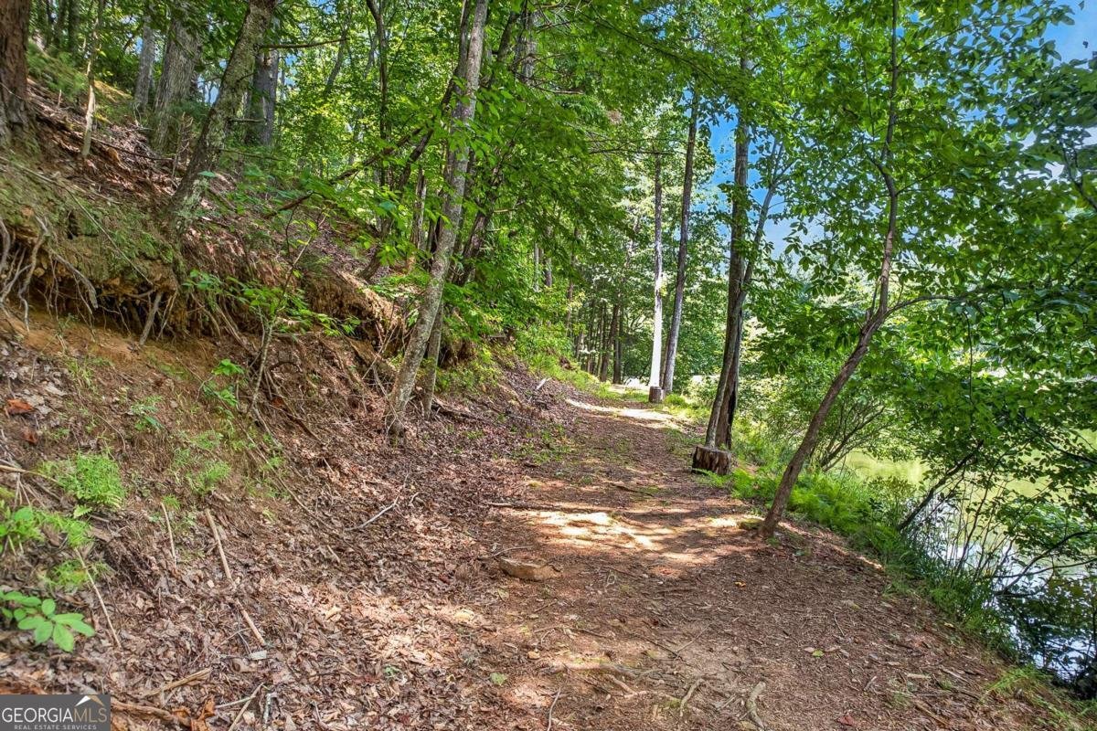 986 Mountain Oak Road Ellijay - Photo 39