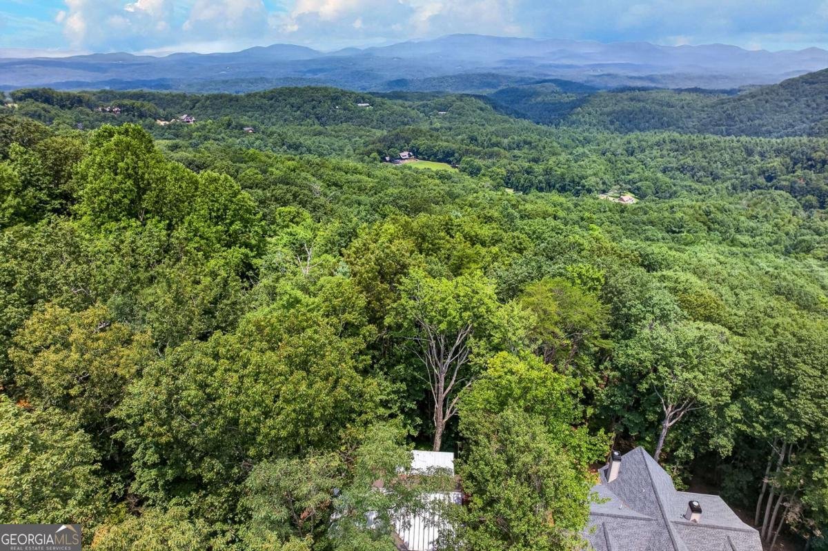 986 Mountain Oak Road Ellijay - Photo 40