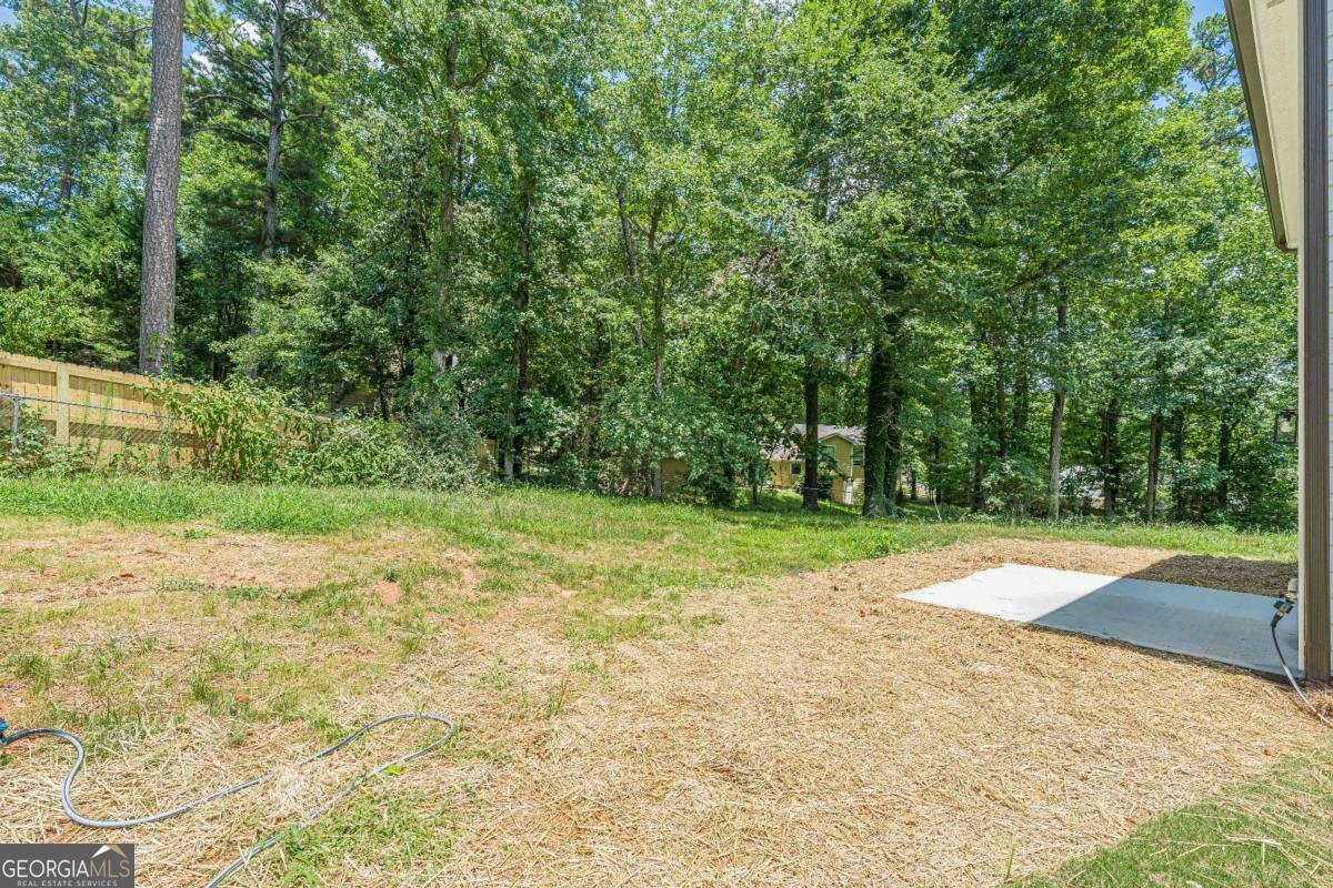 1717 Hilton Ridge Court Lithonia - Photo 39