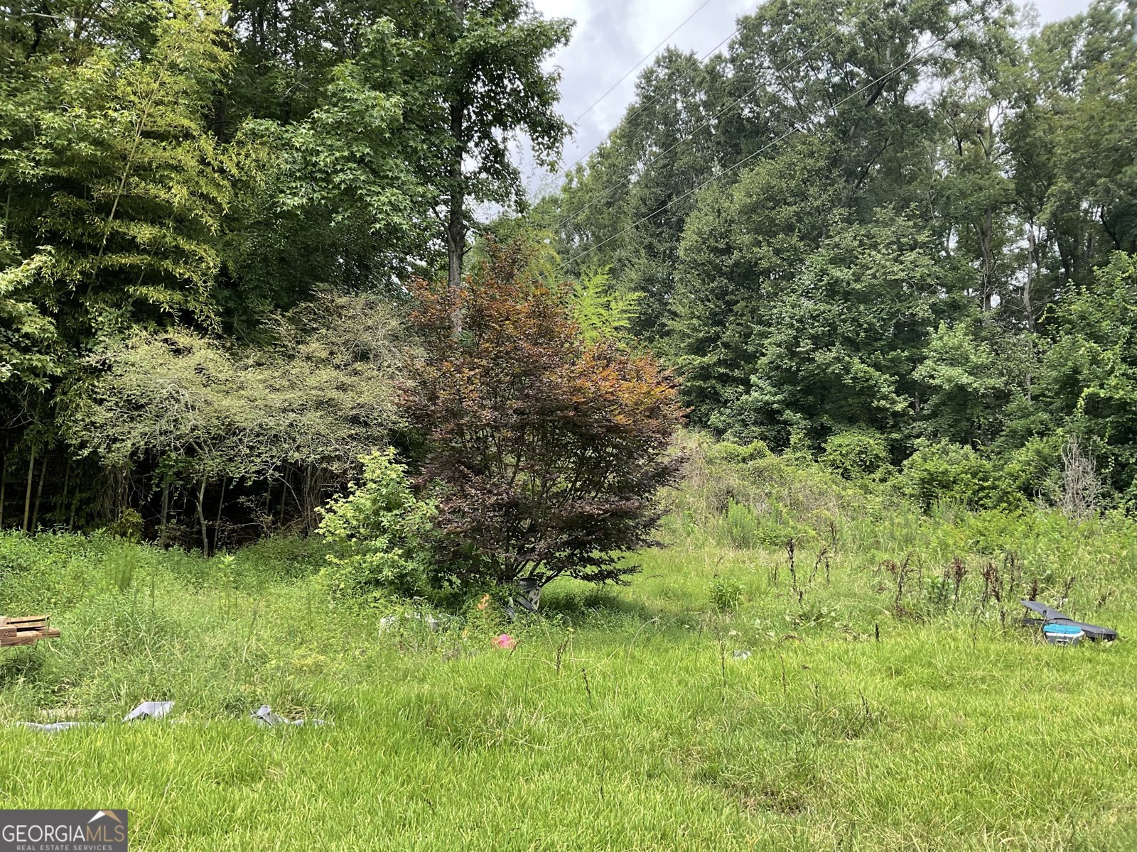 334 Atlanta Street Barnesville - Photo 41