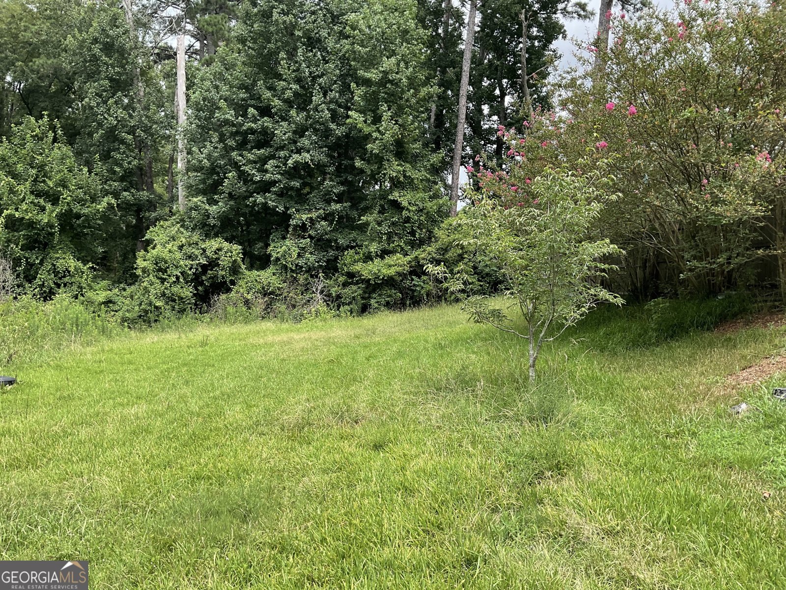 334 Atlanta Street Barnesville - Photo 49