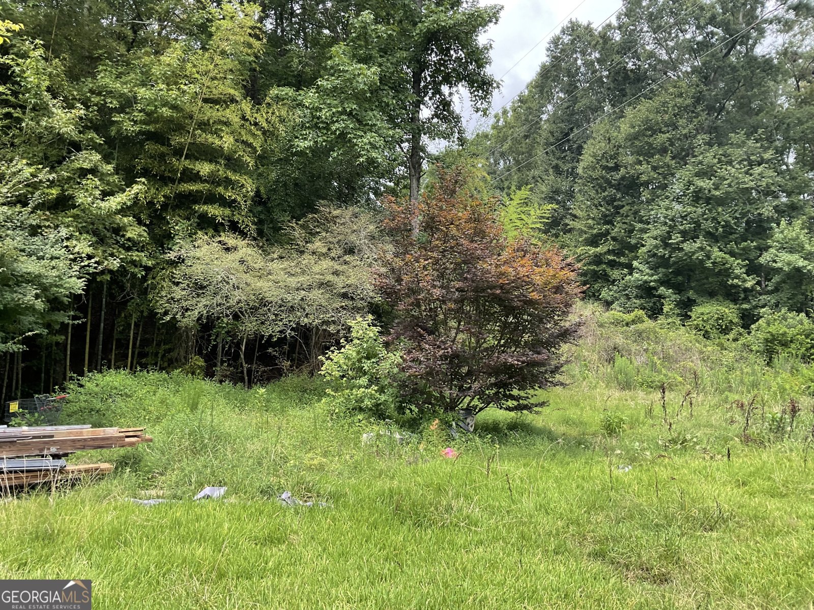 334 Atlanta Street Barnesville - Photo 50