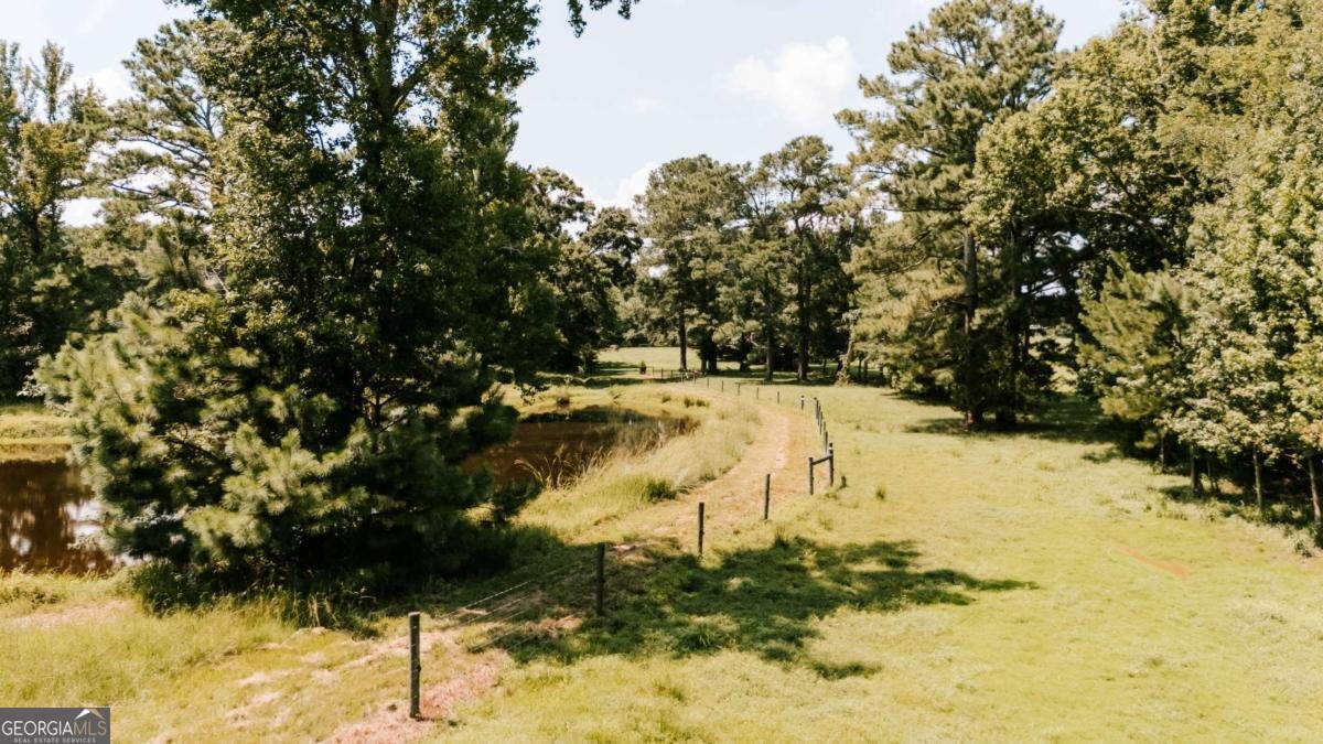 6 Burt Road Carlton - Photo 44