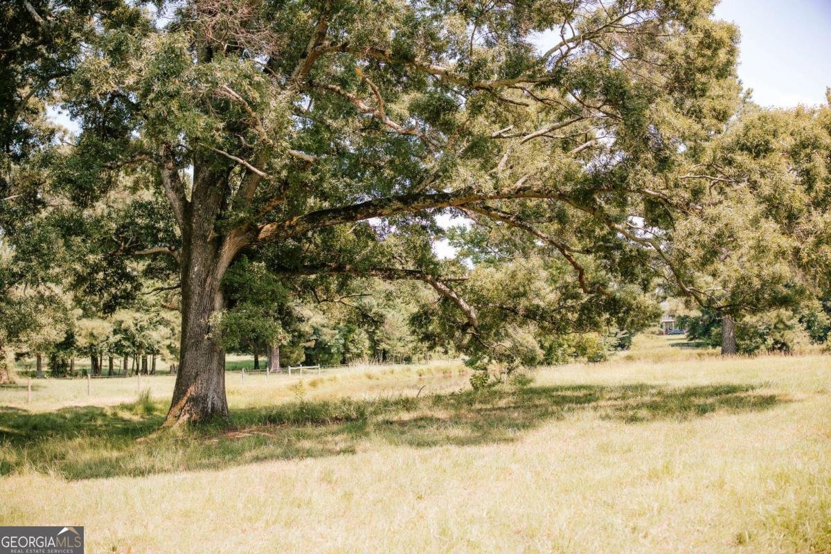 6 Burt Road Carlton - Photo 51