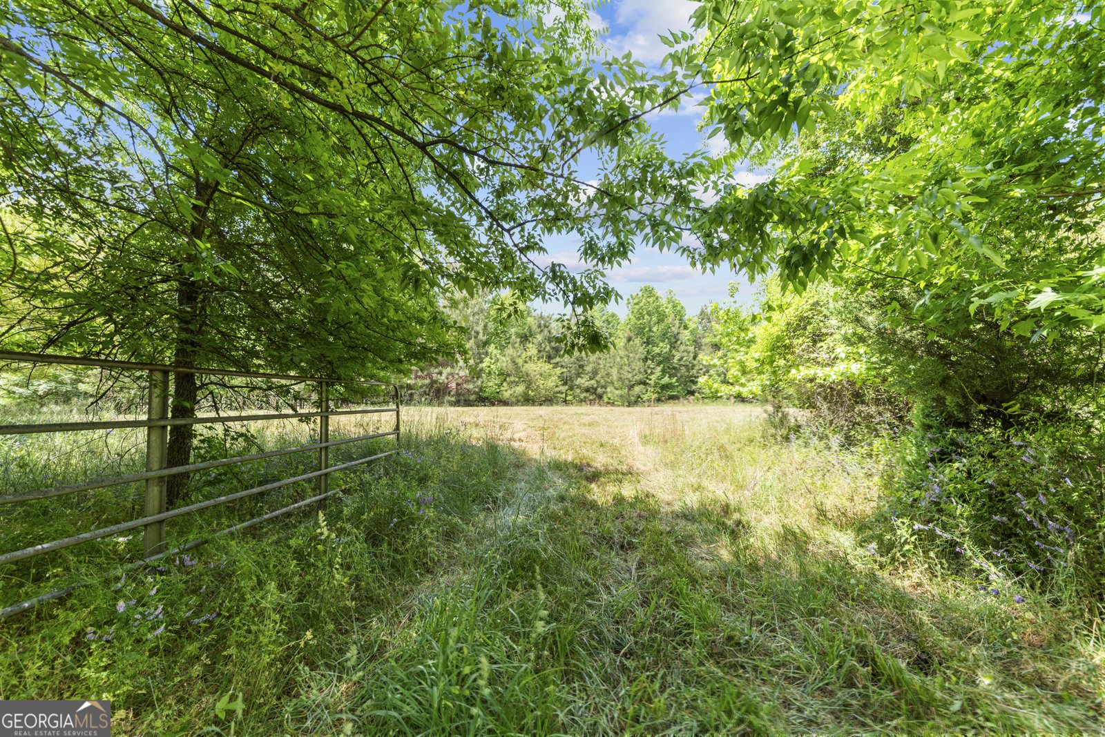 4000 Bostwick Highway Madison - Photo 35