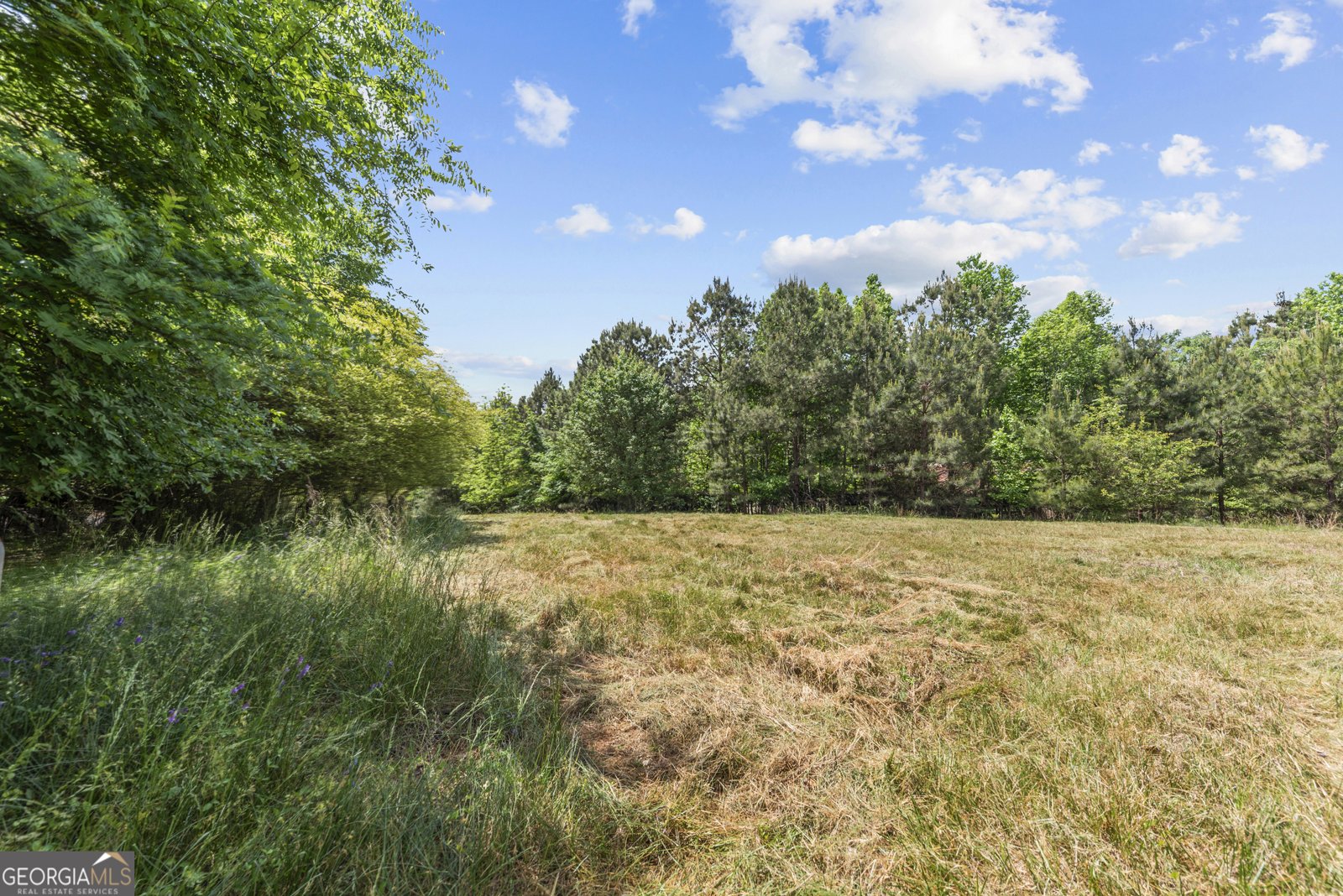 4000 Bostwick Highway Madison - Photo 36