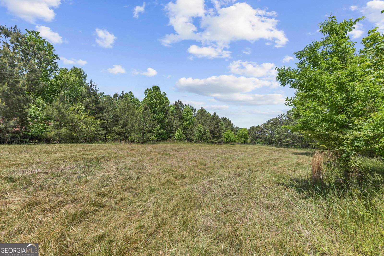 4000 Bostwick Highway Madison - Photo 37