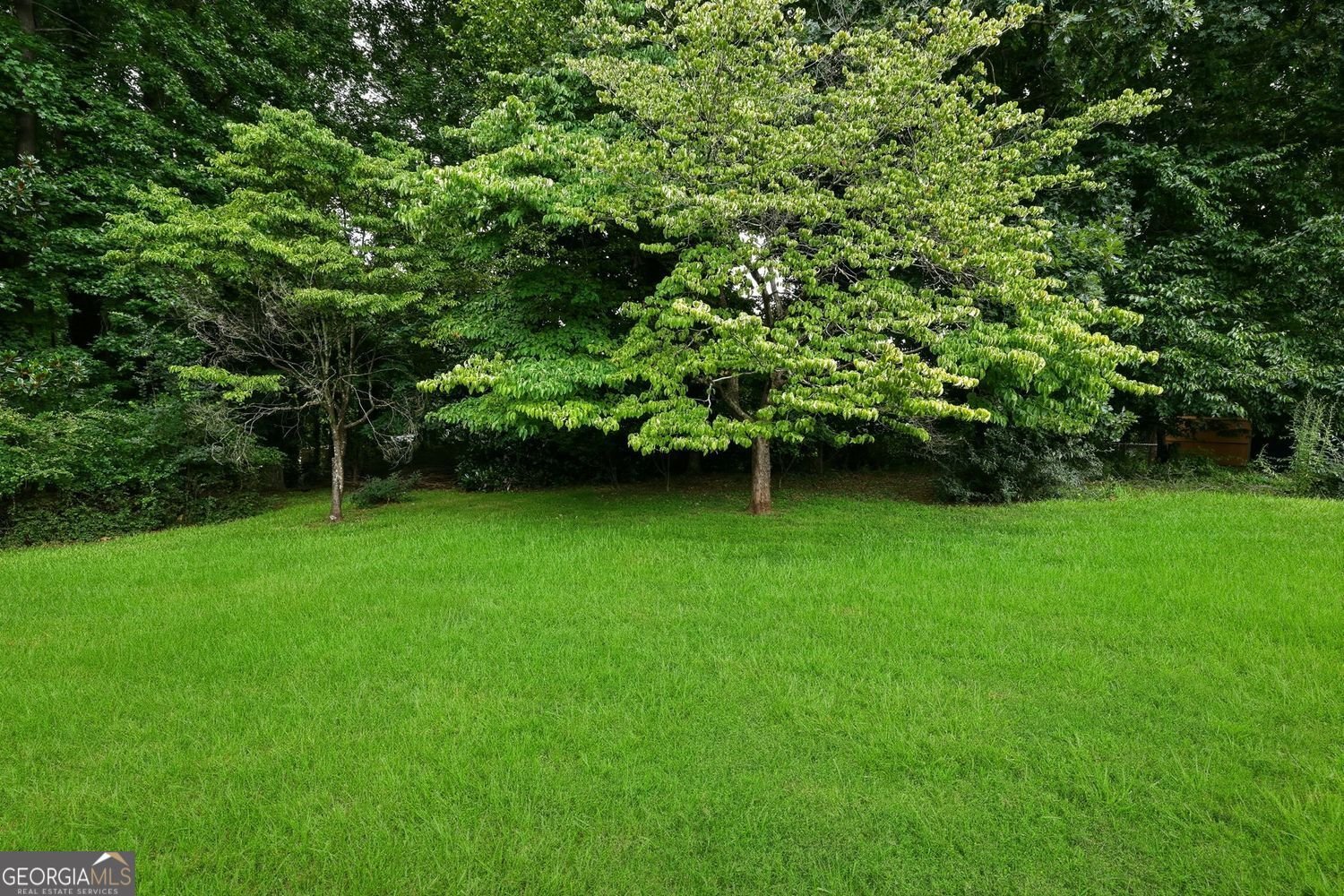 2905 Red Pine Court Duluth - Photo 33