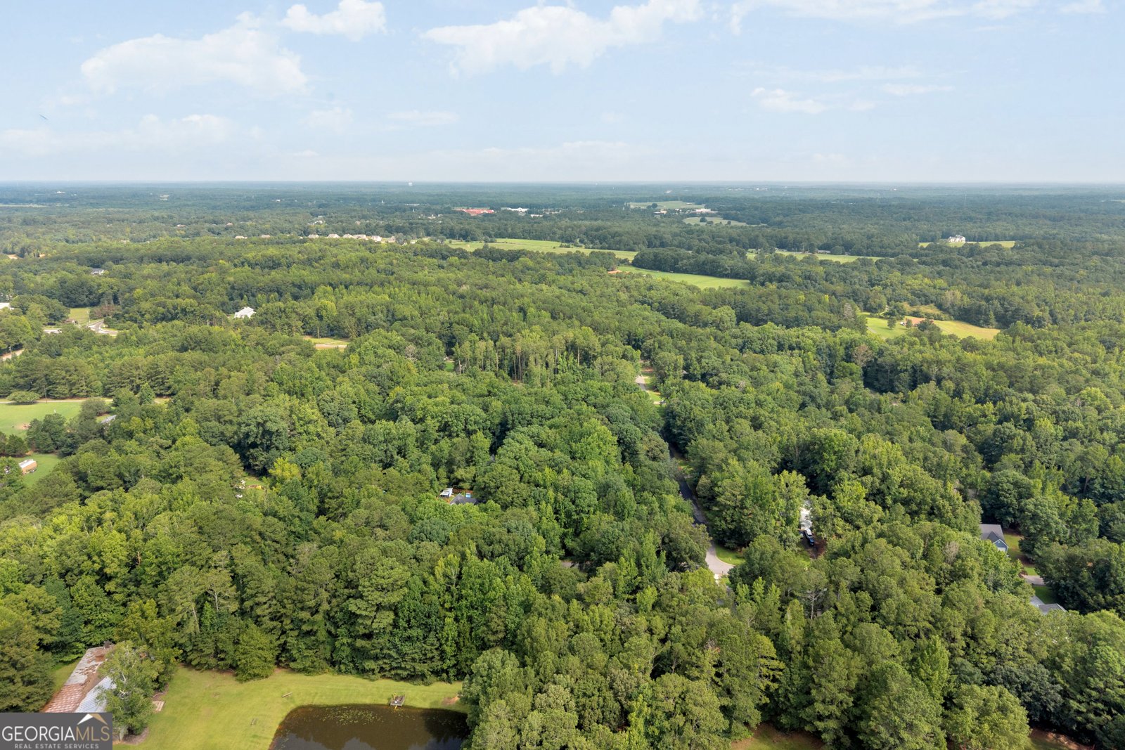 1060 Sharon Place Watkinsville - Photo 53