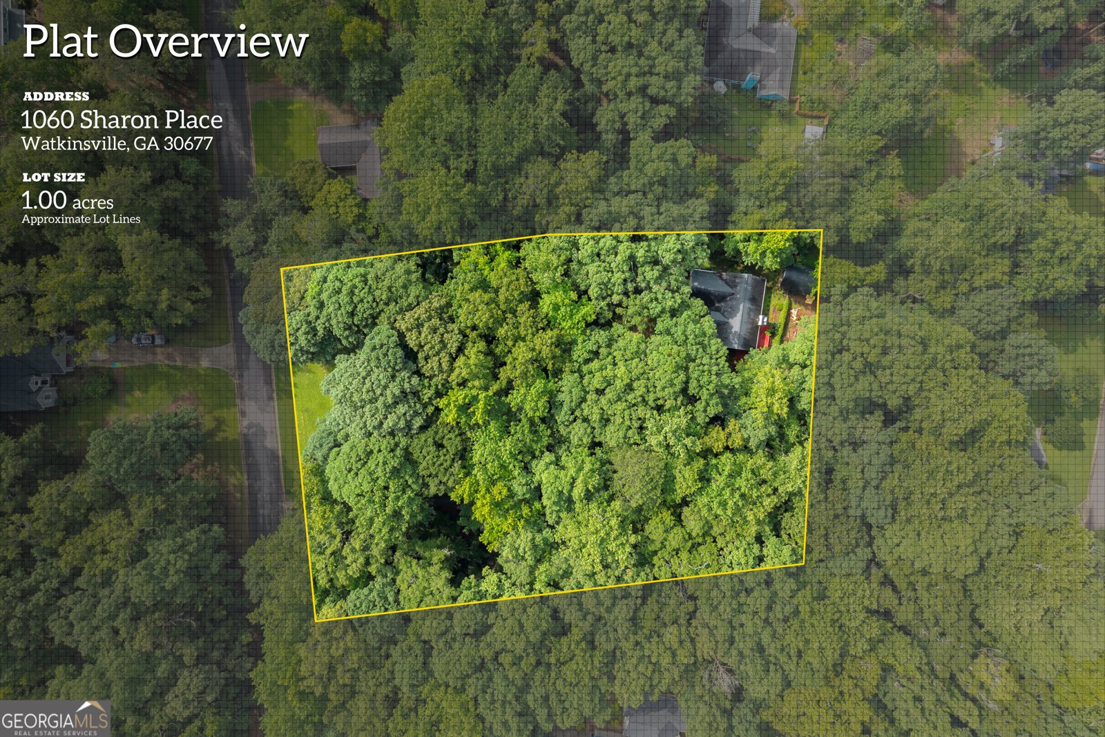 1060 Sharon Place Watkinsville - Photo 59