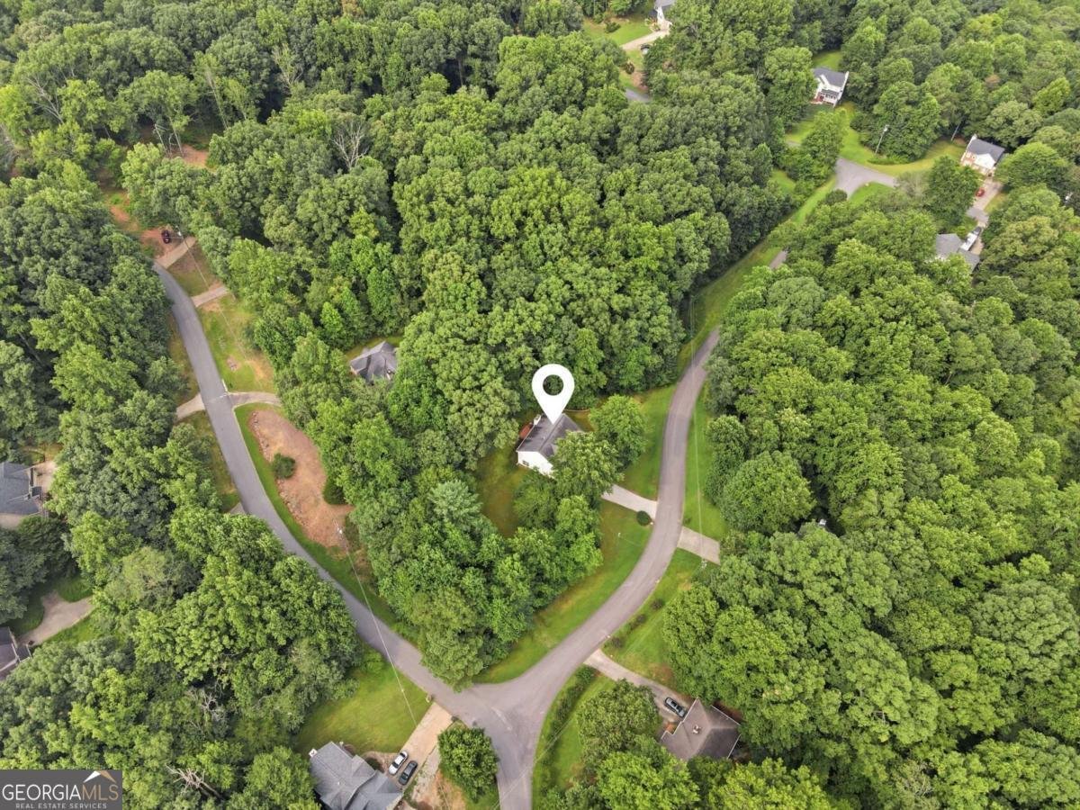 37 Wood Valley Trace Dawsonville - Photo 36