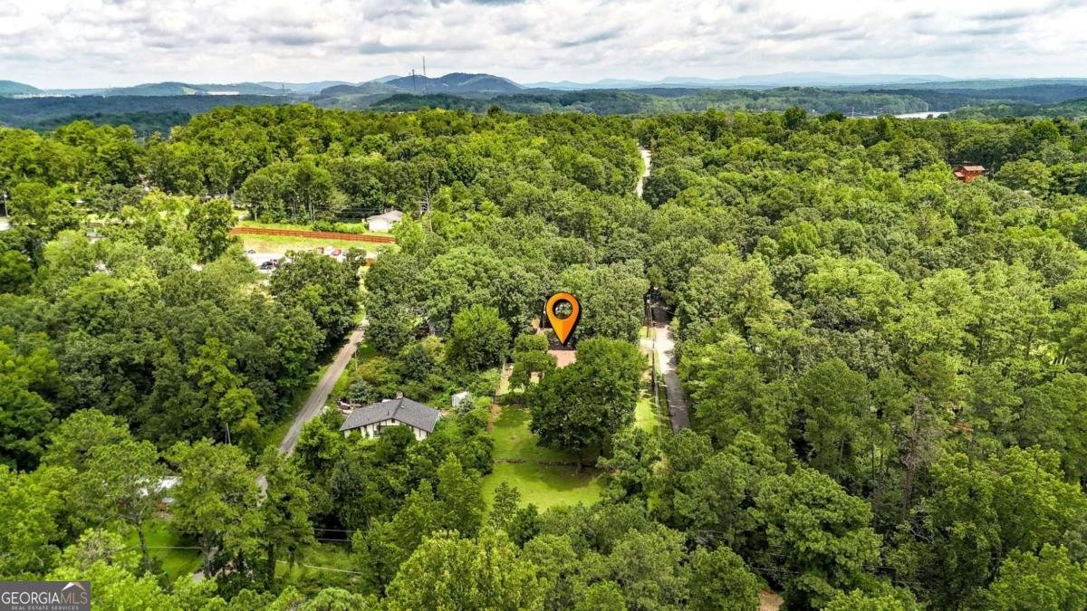 166 Lynch Street Acworth - Photo 42