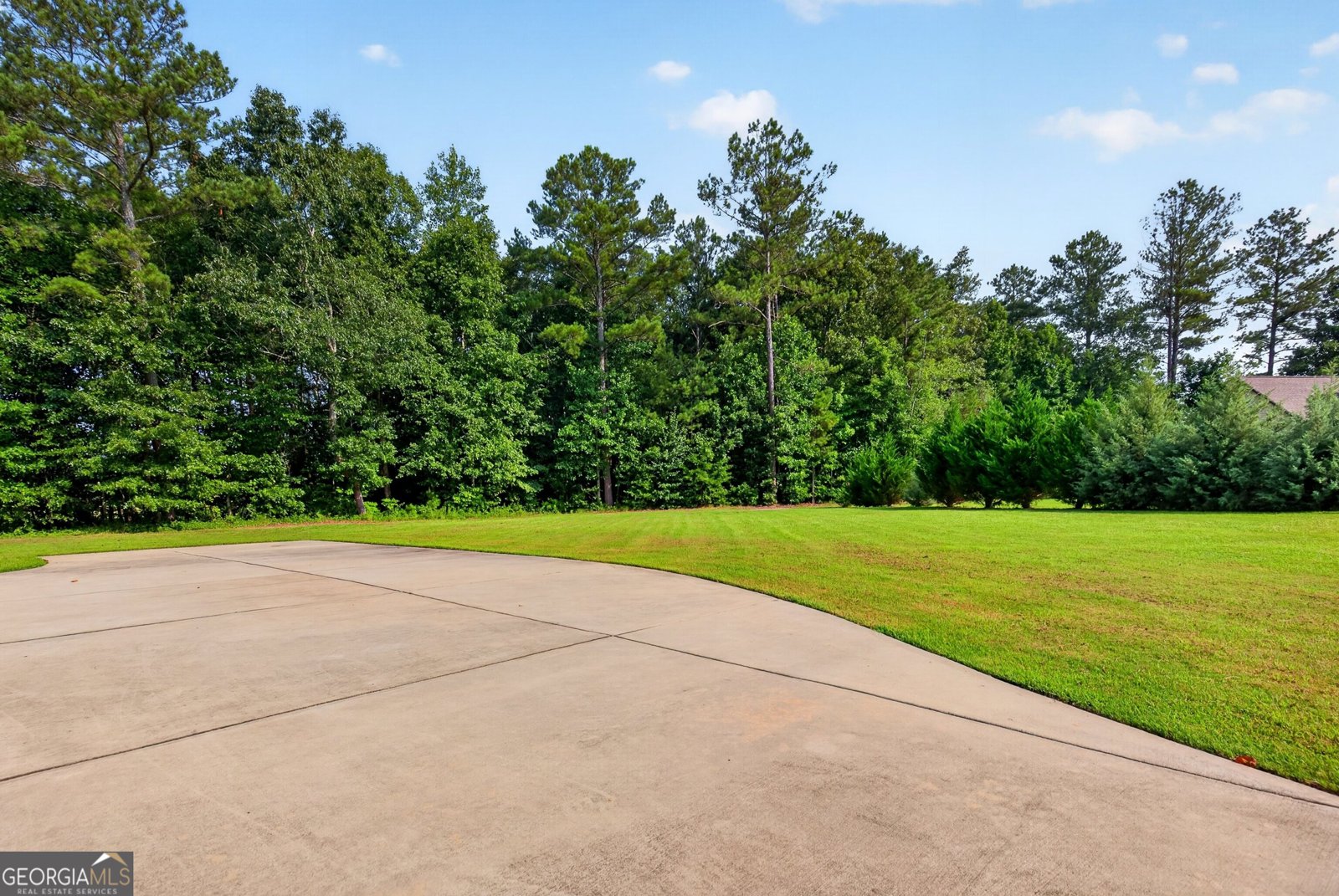 225 Cole Forest Boulevard Barnesville - Photo 14
