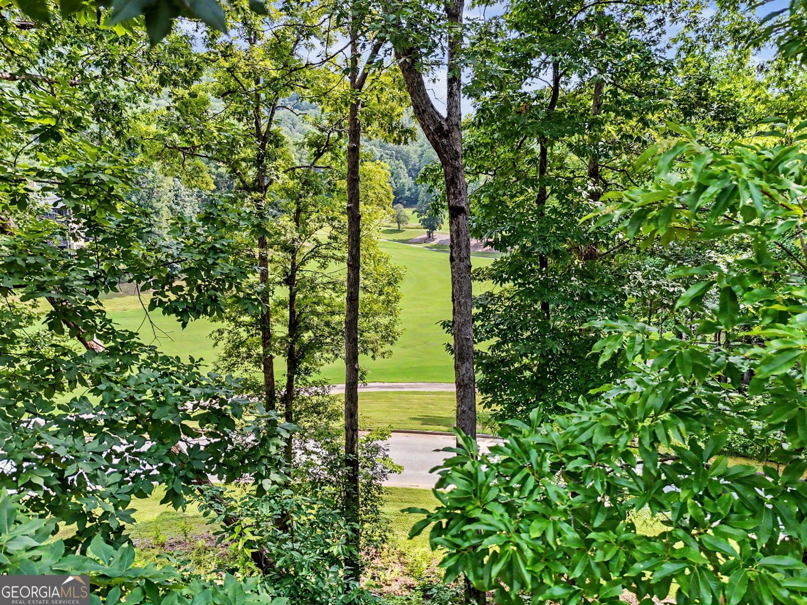 251 Shakespeare Dr. Clayton - Photo 44