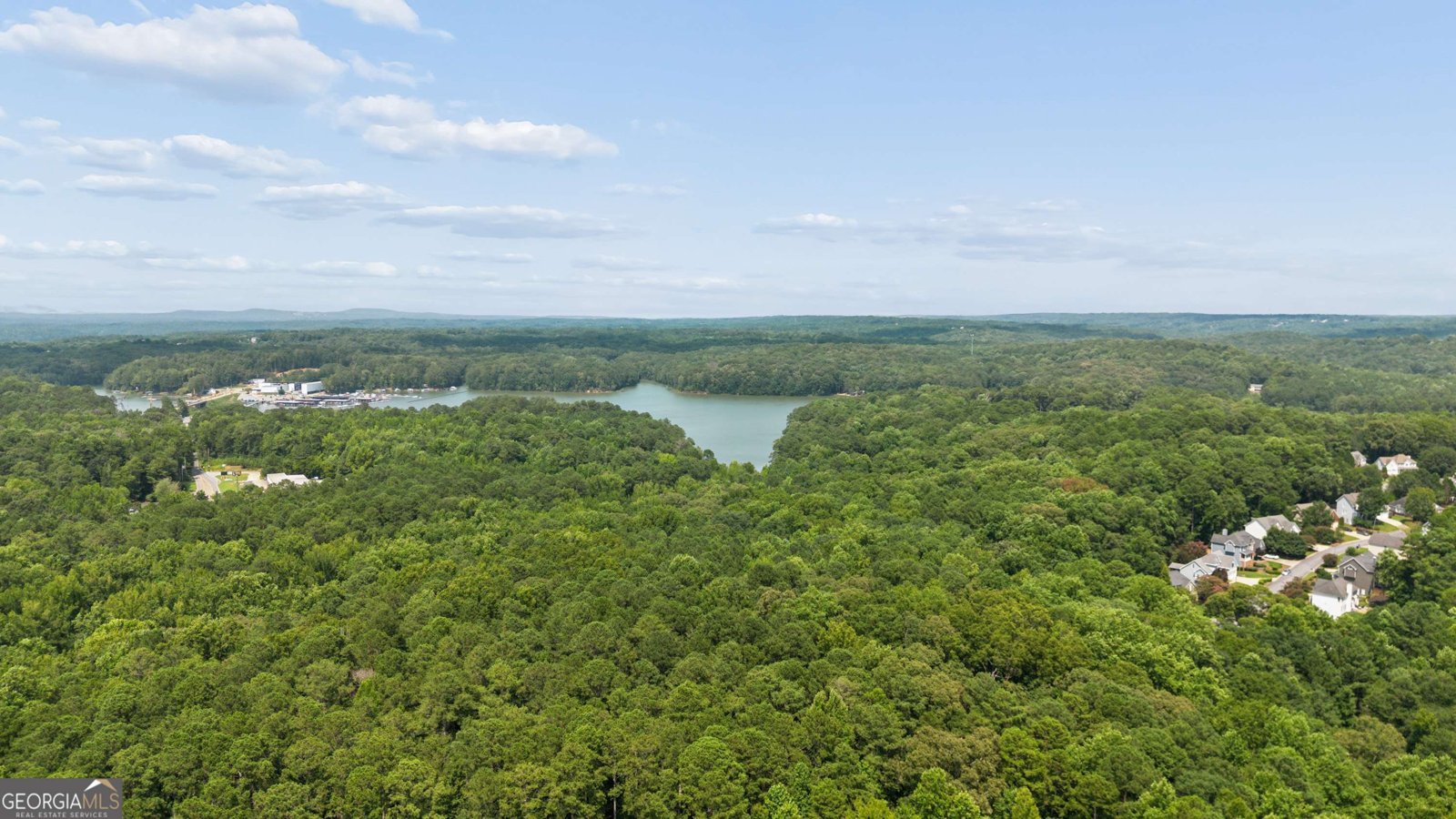 7137 Big Woods Drive Woodstock - Photo 28