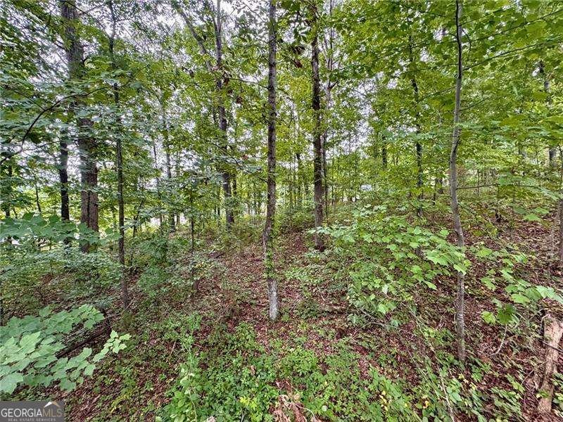 4205 Loftwood Drive Cohutta - Photo 10