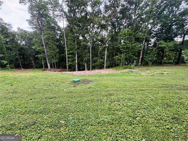 4205 Loftwood Drive Cohutta - Photo 7