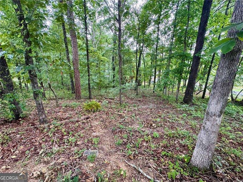 4205 Loftwood Drive Cohutta - Photo 9