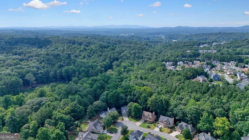 178 Mountain Vista Boulevard Canton - Photo 63