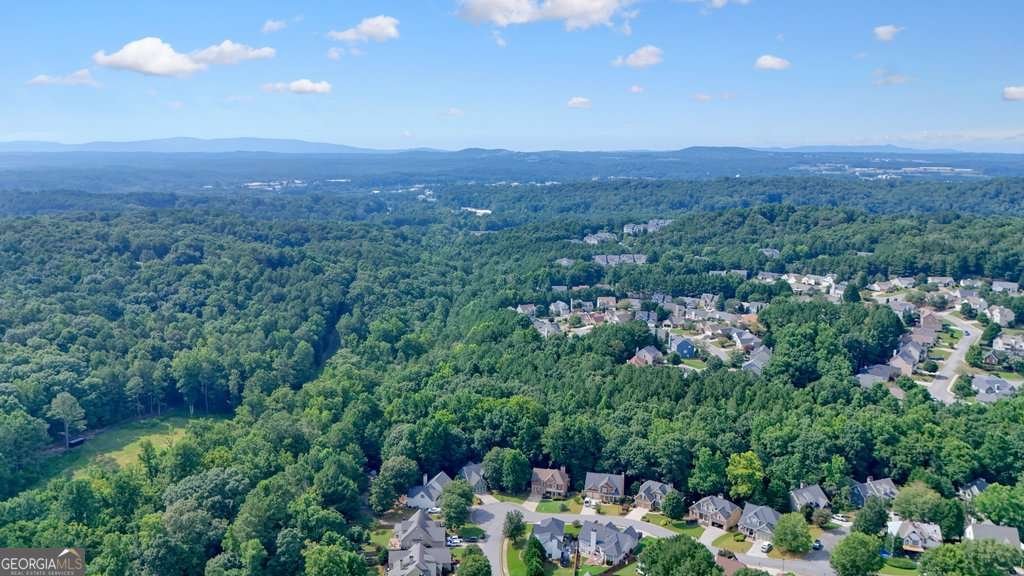 178 Mountain Vista Boulevard Canton - Photo 64