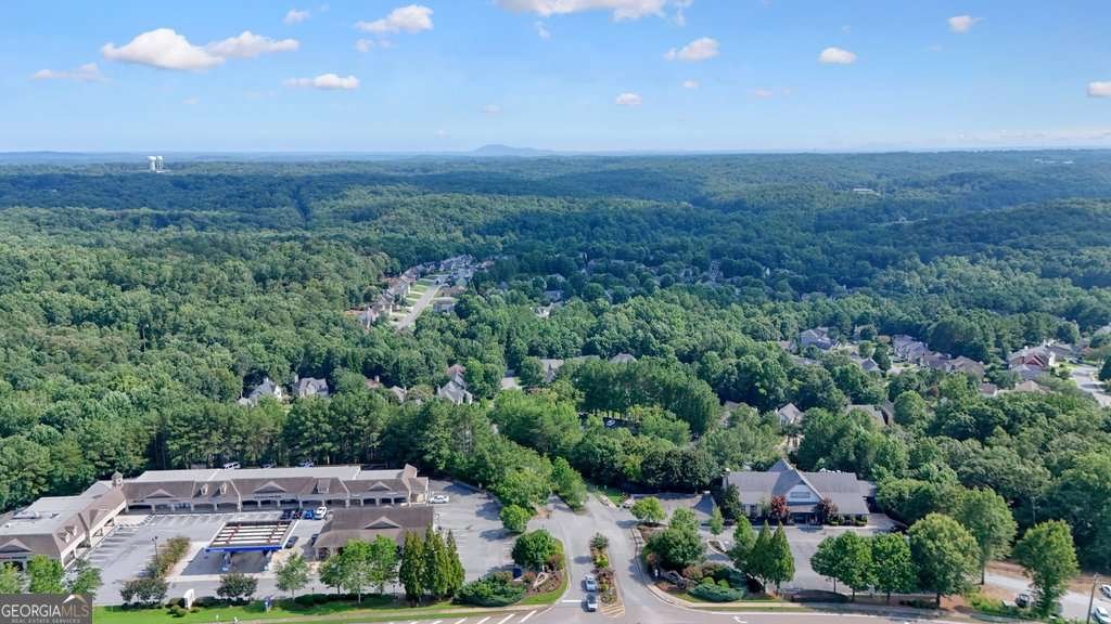 178 Mountain Vista Boulevard Canton - Photo 74