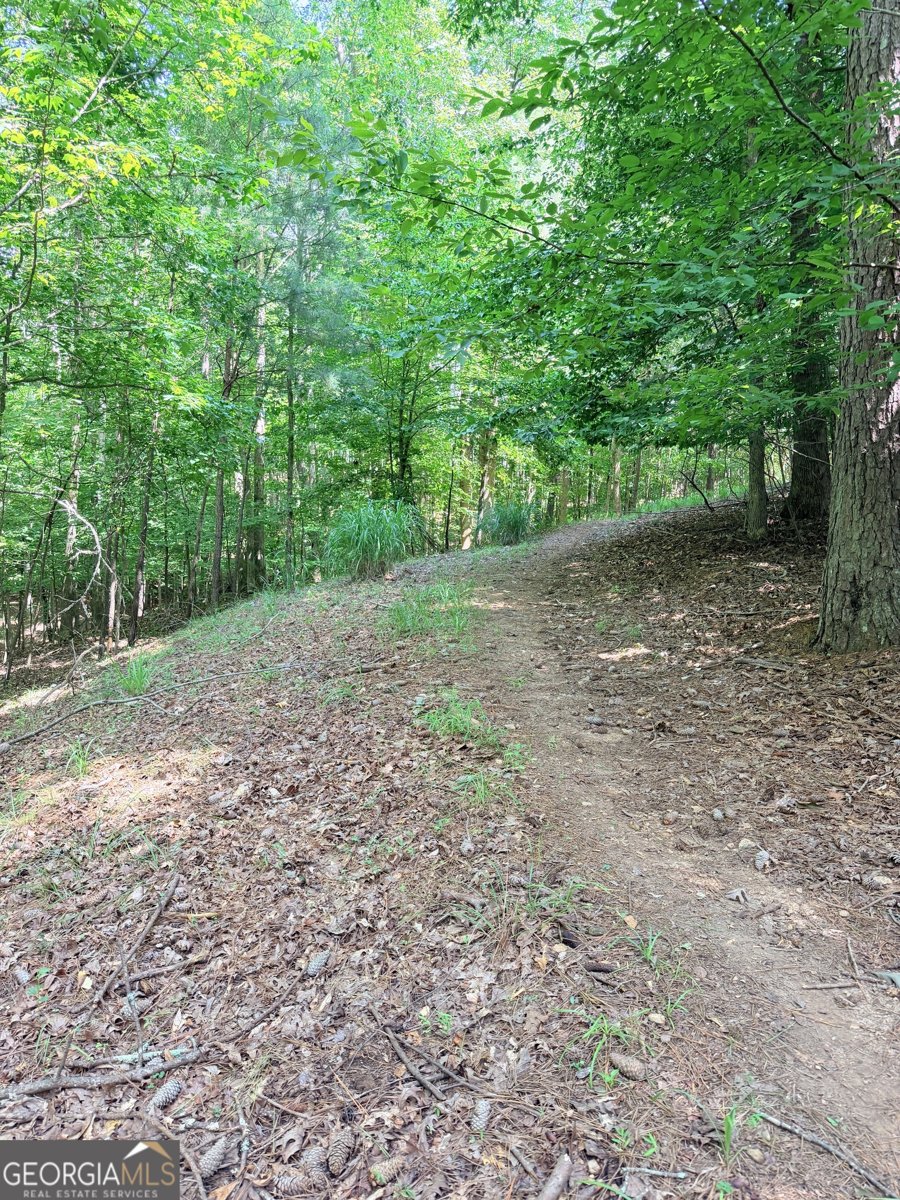 503 Keeneland Avenue Woodstock - Photo 48
