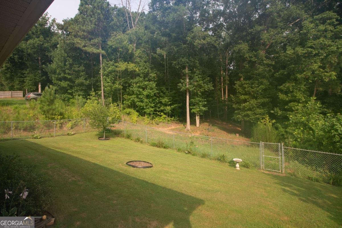141 Conifer Court Winterville - Photo 41