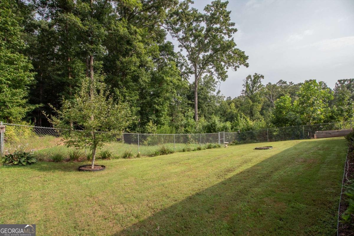 141 Conifer Court Winterville - Photo 43