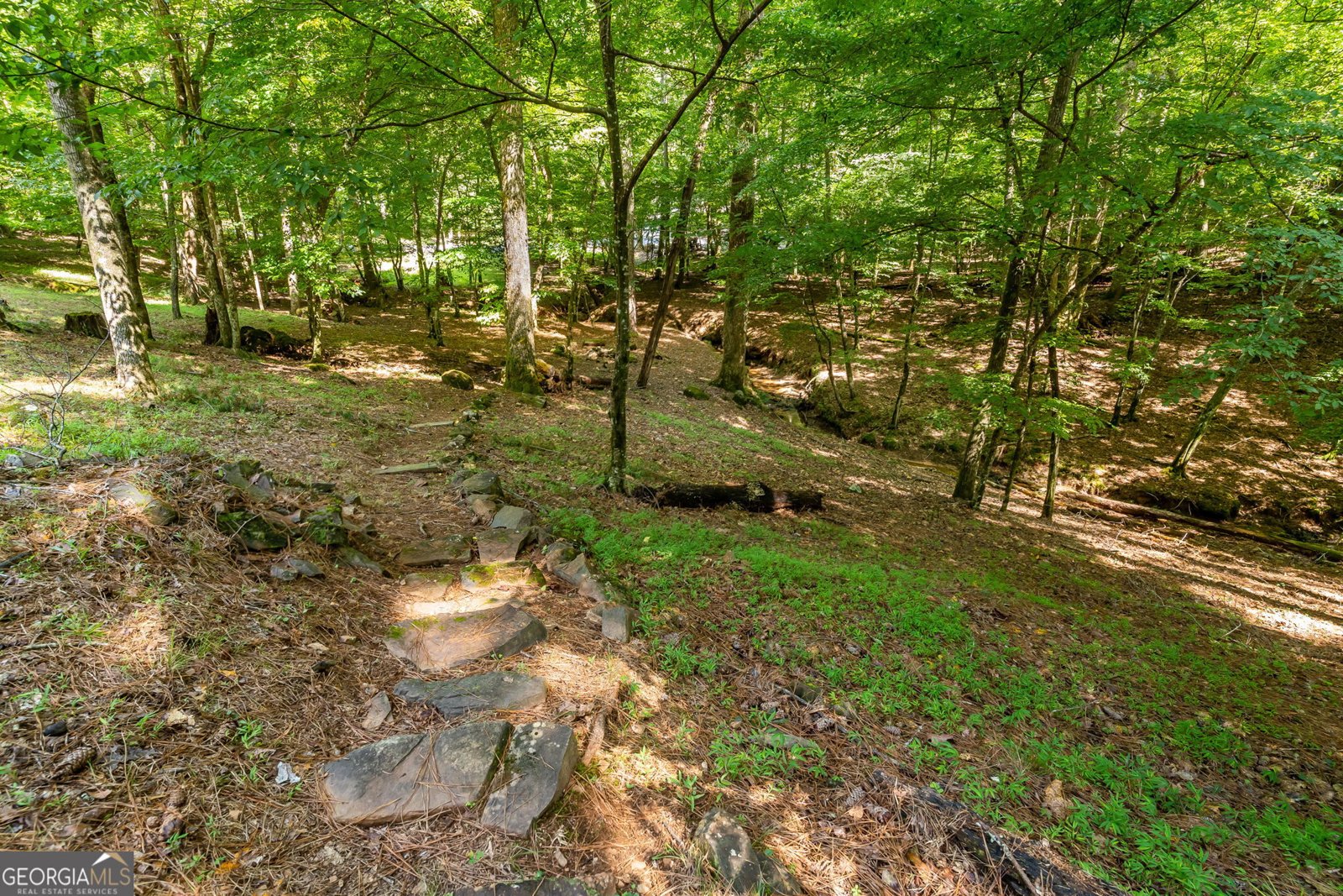 611 Monocle Drive Ellijay - Photo 17