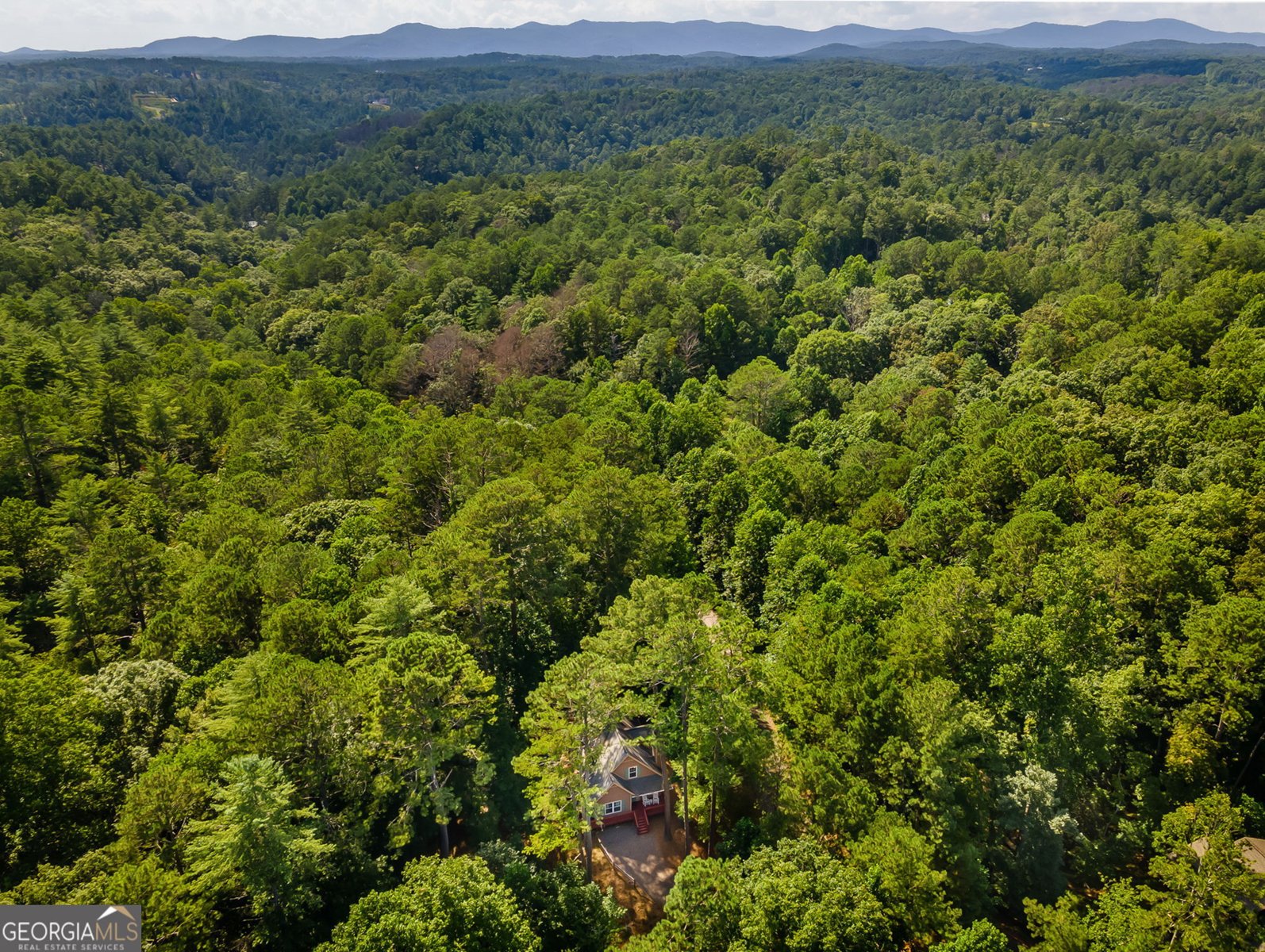611 Monocle Drive Ellijay - Photo 55